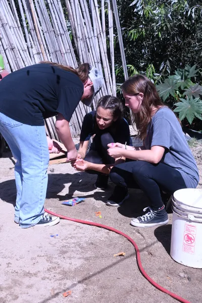 DSC_2044 (Large).JPG